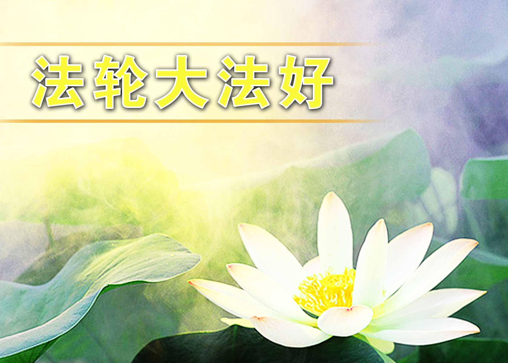 章军明绍林案　律师要求无罪释放