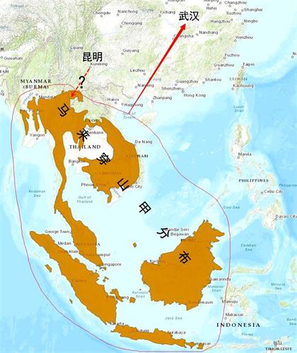 '图：“穿山甲假说”有巨大障碍，昆明的菊头蝙蝠（不迁徙）如何跨越高山深谷，把病毒传到东南亚？（作者提供）'